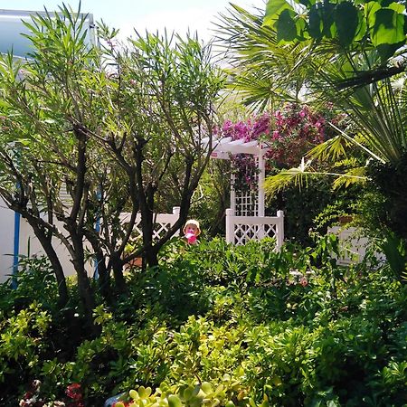 Hotel Parco Delle Rose Silvi Marina Exterior photo