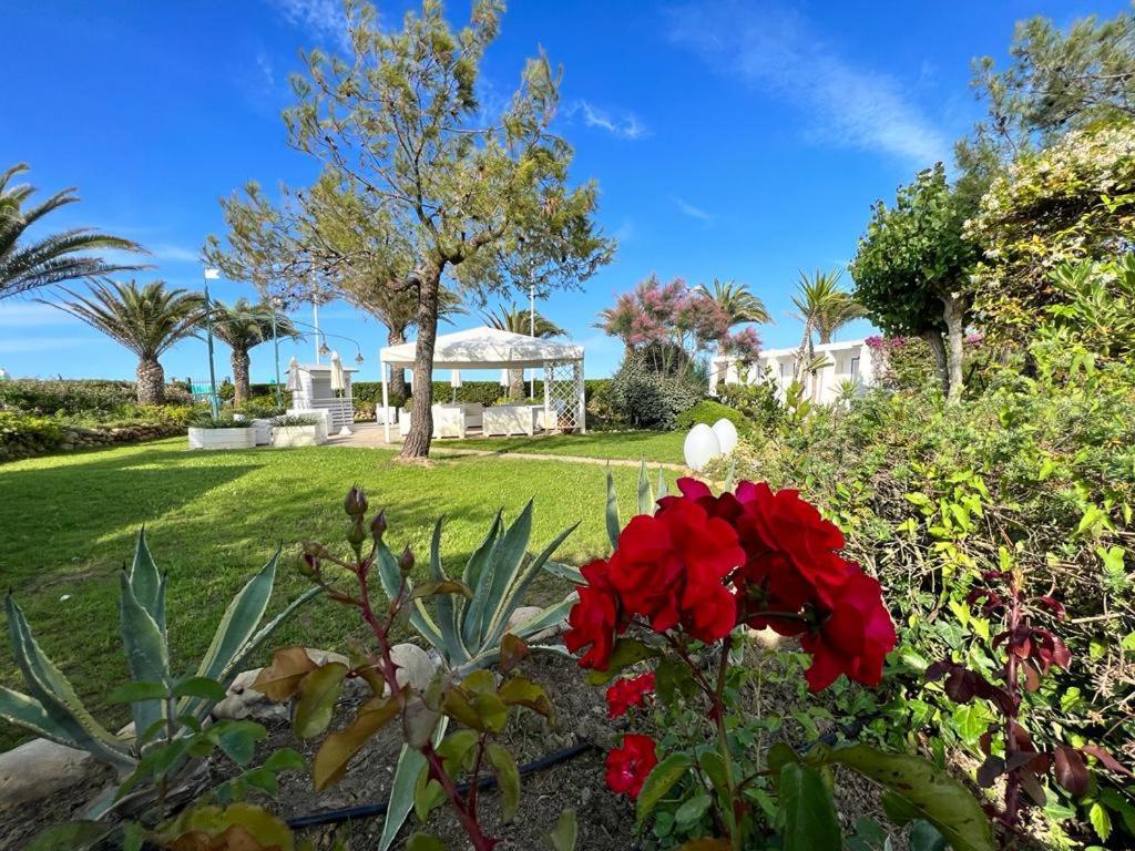 Hotel Parco Delle Rose Silvi Marina Exterior photo