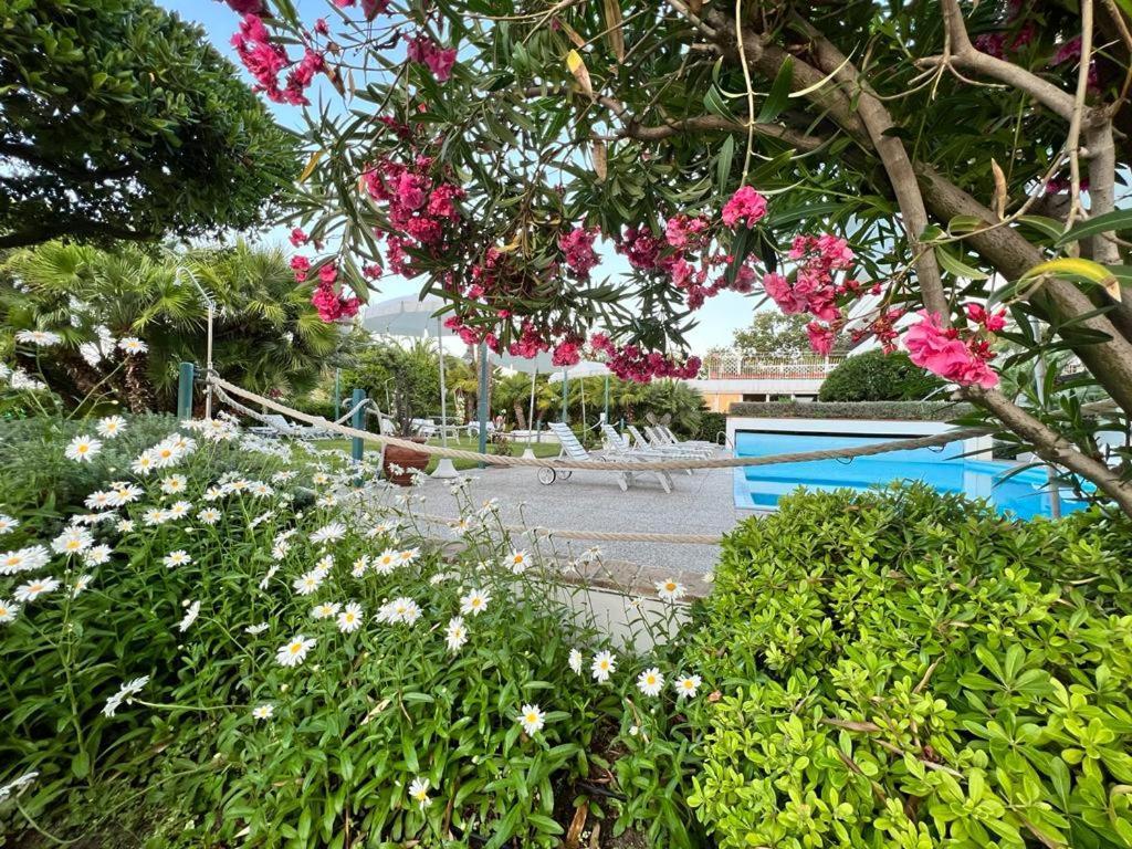 Hotel Parco Delle Rose Silvi Marina Exterior photo