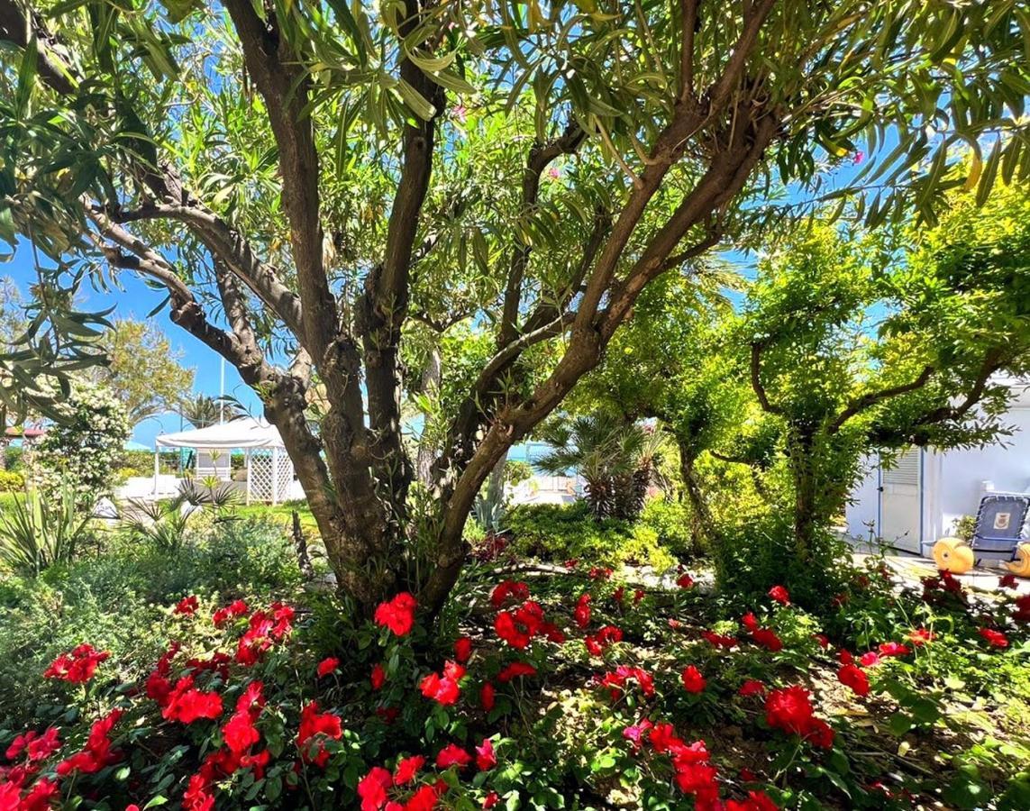 Hotel Parco Delle Rose Silvi Marina Exterior photo