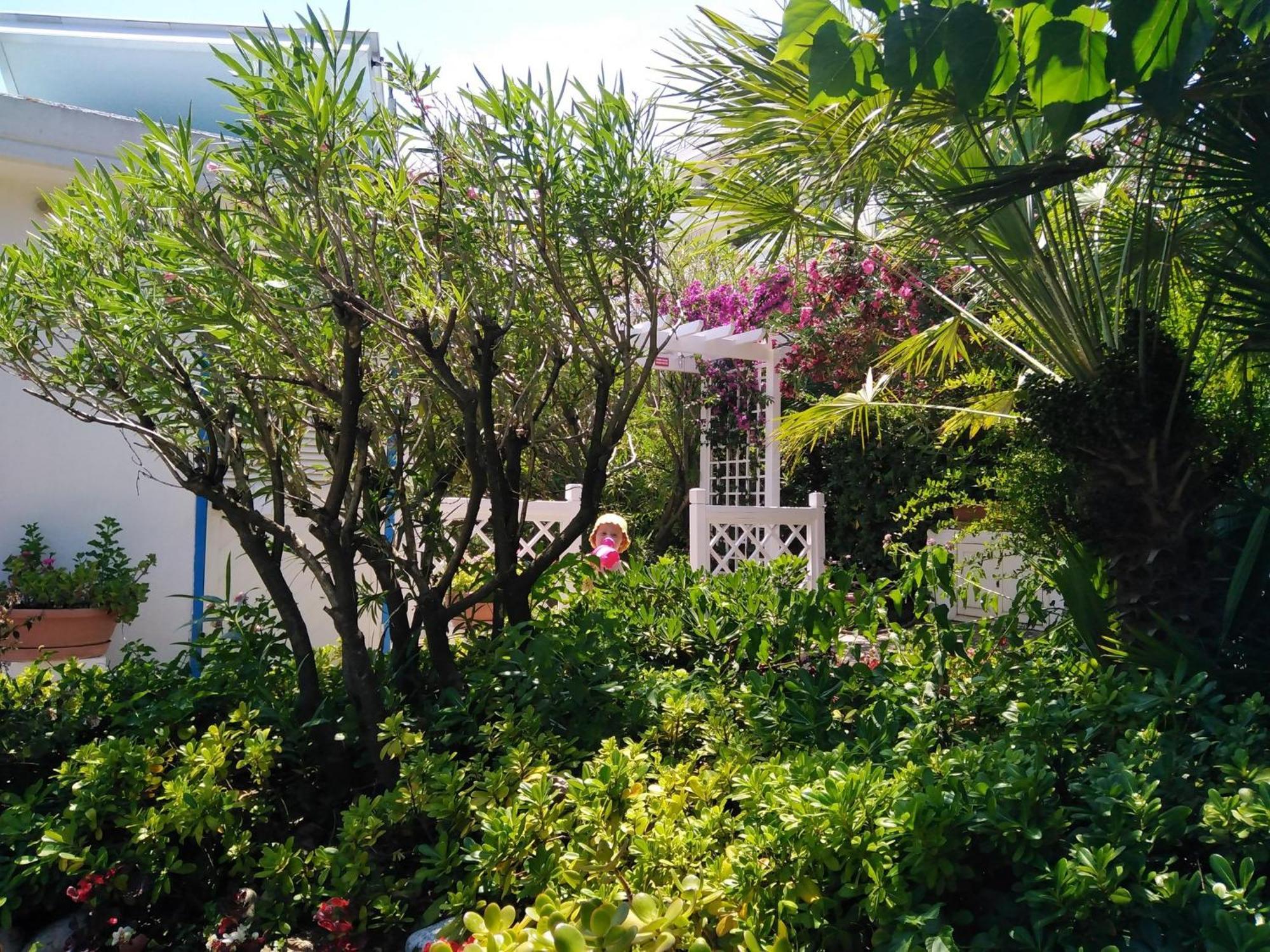 Hotel Parco Delle Rose Silvi Marina Exterior photo